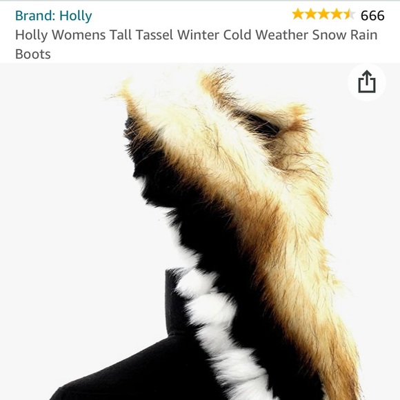 Holly Womens Tall Tassel Winter Cold Weather Water Resistant Boots - Picture 9 of 10